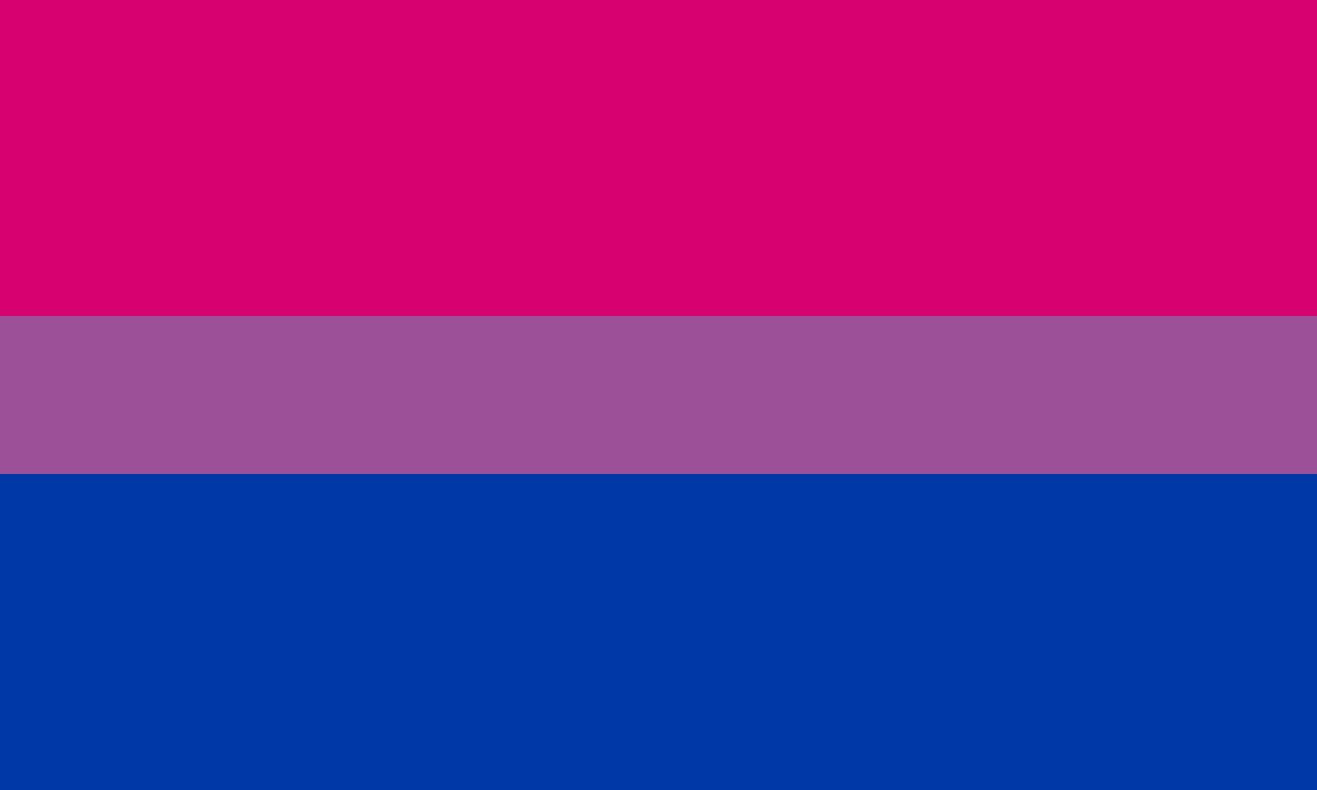 Bi Pride Flag copy