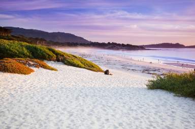 Carmel Beach in Carmel-by-the-Sea