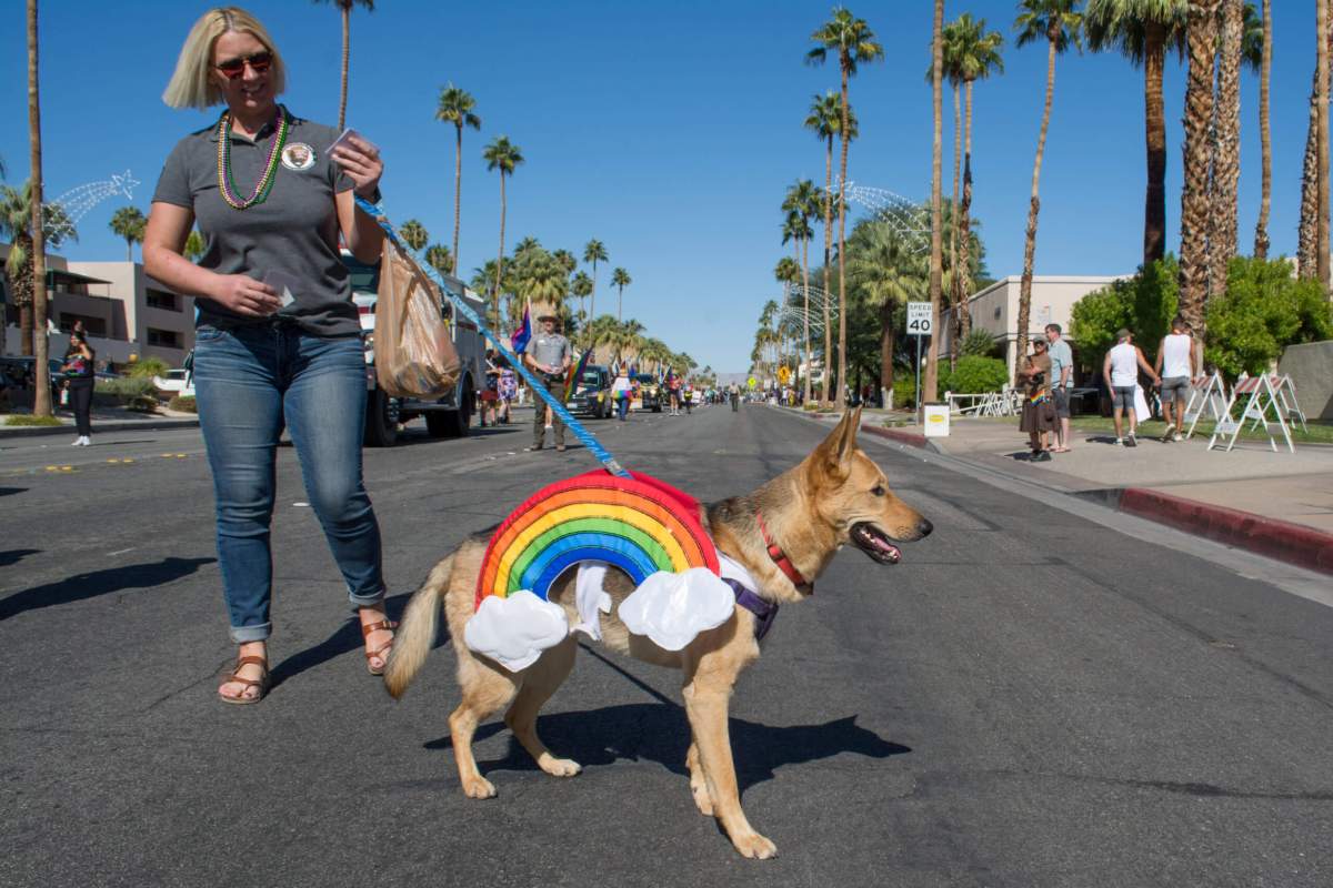 Palm_Springs_Pride_Parade_2019_(49019916698)