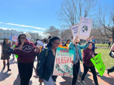 Advocates demonstrate on a sunny day in DC.