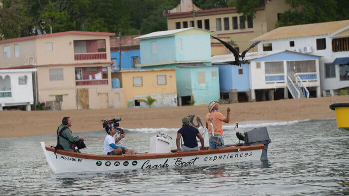 “Extraordinary Birder” host Christian Cooper heads out in search of the brown pelican in Puerto Rico.